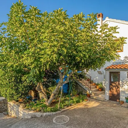 Apartment Two-bedroom In Necujam